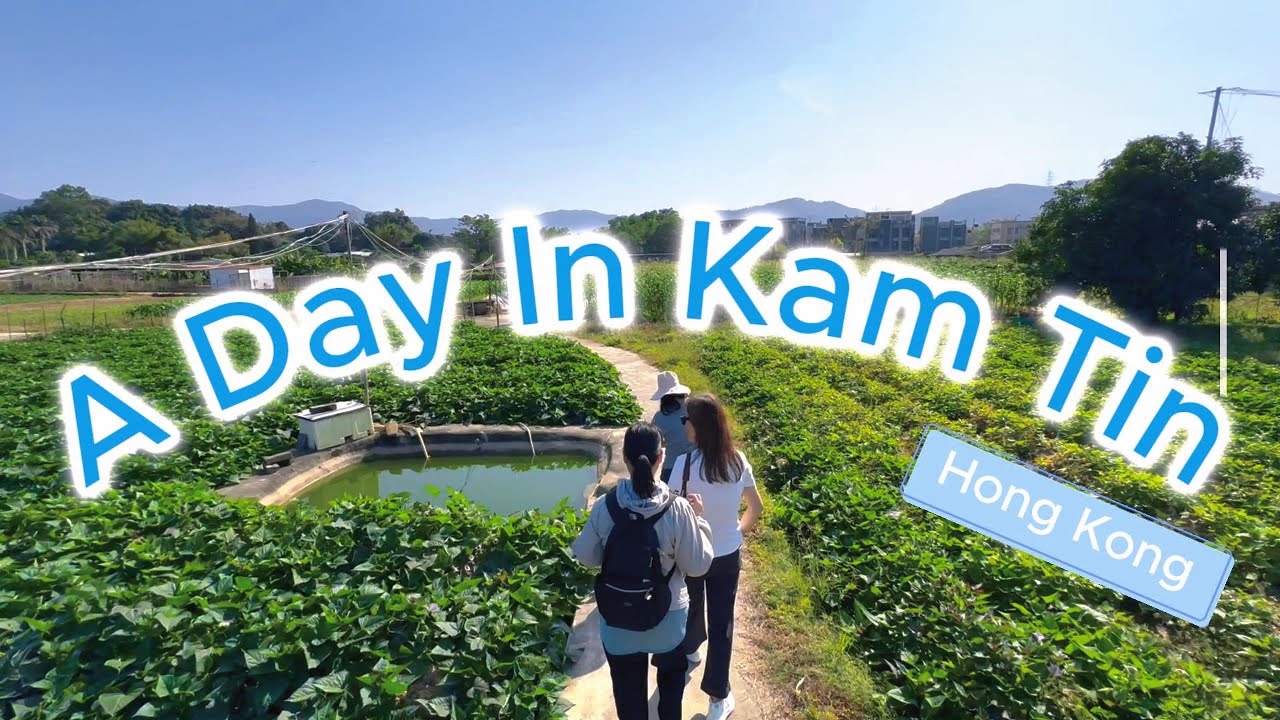 A Day in Kam Tin, Hong Kong | Noodles, Organic Farm, Beibei Book House Adventure!
