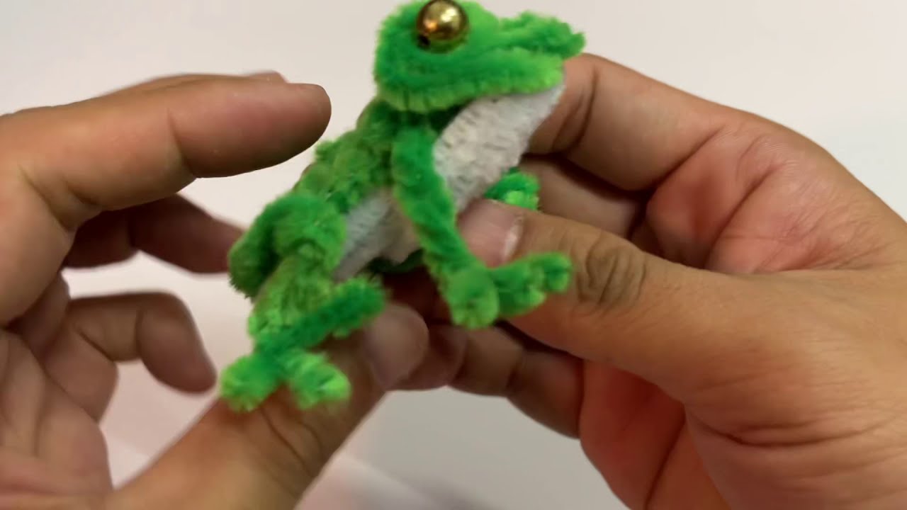 毛根樹蛙製作pipe cleaner frog making clips
