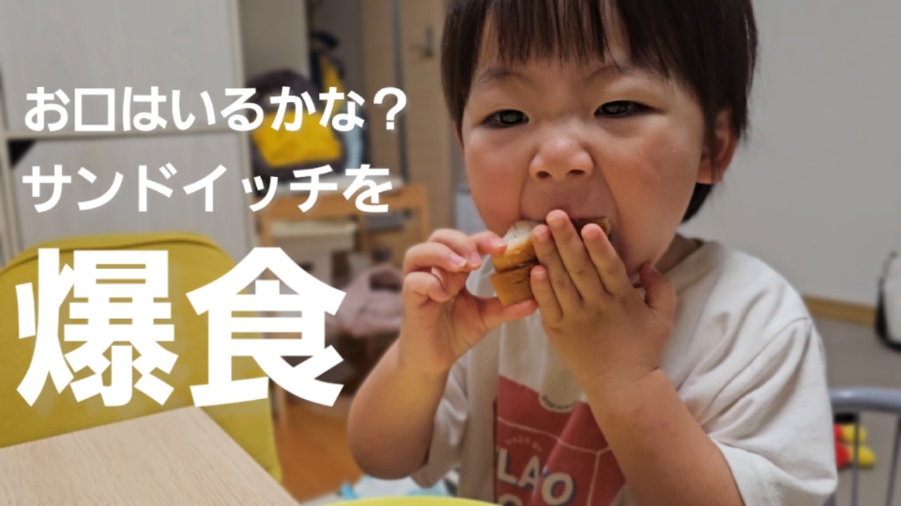 【２歳５ヶ月 幼児の朝ごはん🍚🥢】食べれるかな？大きなサンドイッチをひと口でぱくり！？／Breakfast for a 2-year-5-month-old toddler 🍚🥢