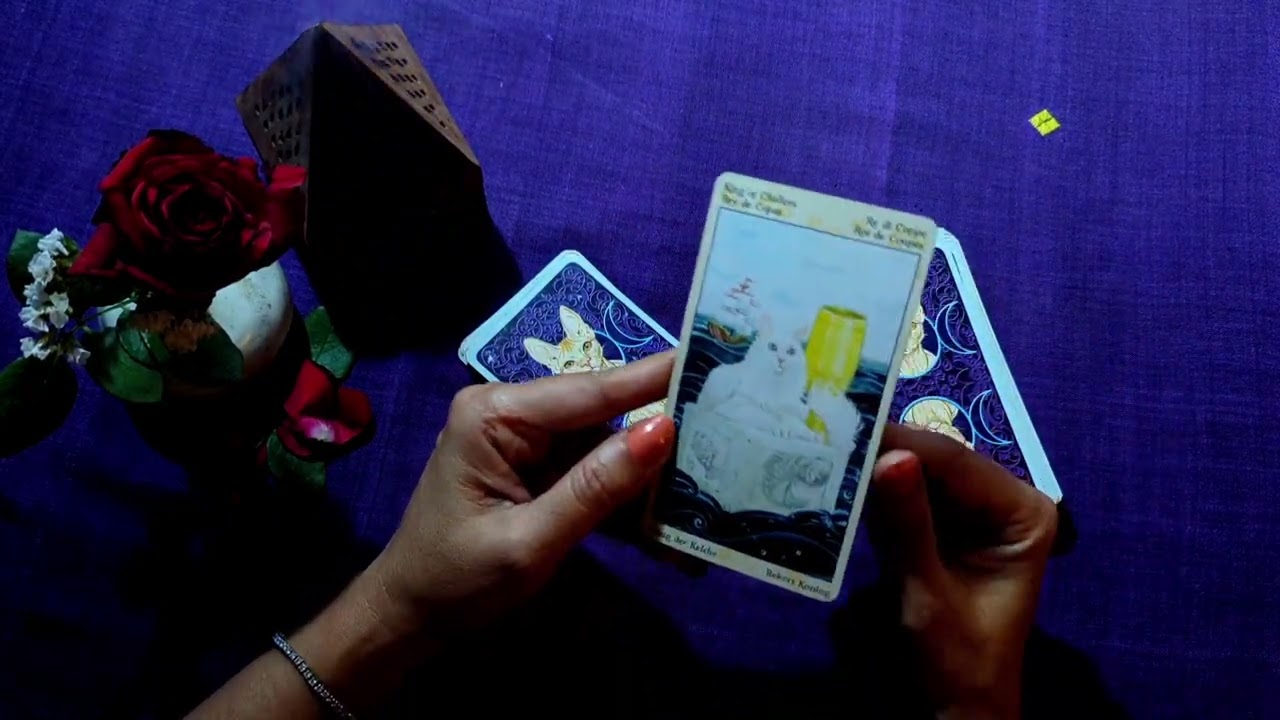 OneTarot Daily Message - The King of Cups