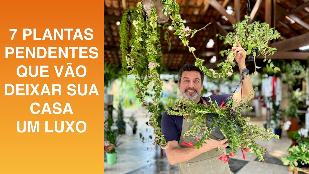 7 PLANTAS PENDENTES Que Vão Deixar Sua Casa um LUXO