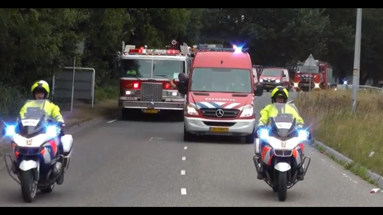 Loads of firetrucks in a parade with sirens