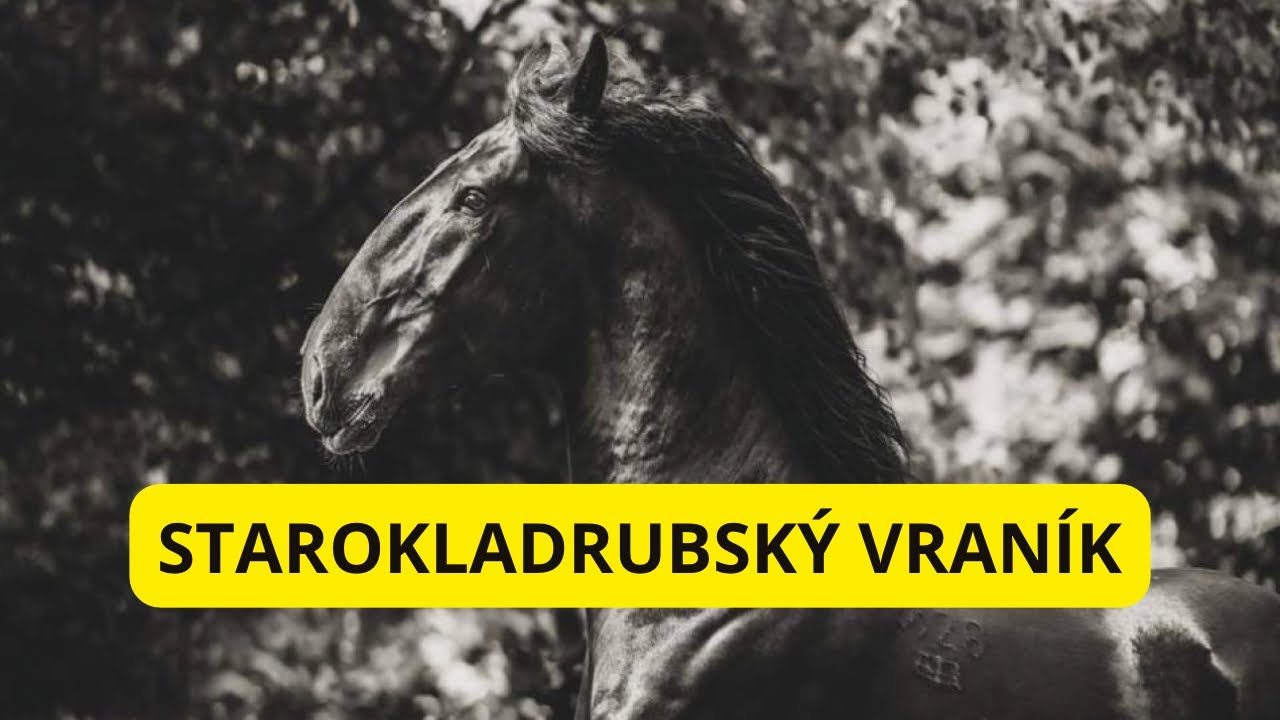 STAROKLADRUBSKÝ VRANÍK v minulosti a dnes