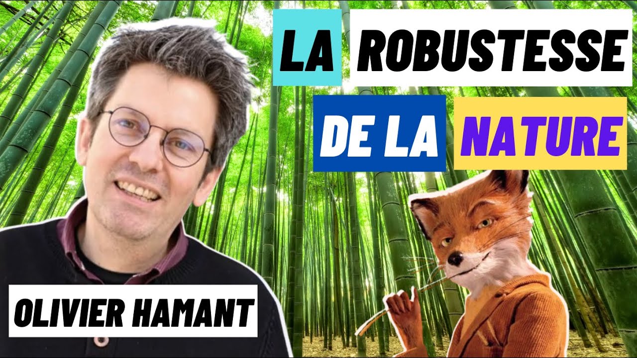 Un contre-modèle au culte de la performance - avec Olivier Hamant