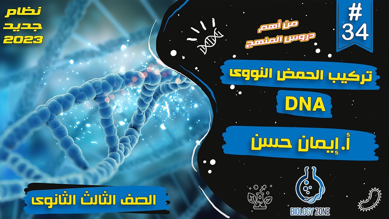 #34 | شرح تركيب الحمض النووى DNA | احياء تالته ثانوى 2023 | إيمان حسن 🧬💯