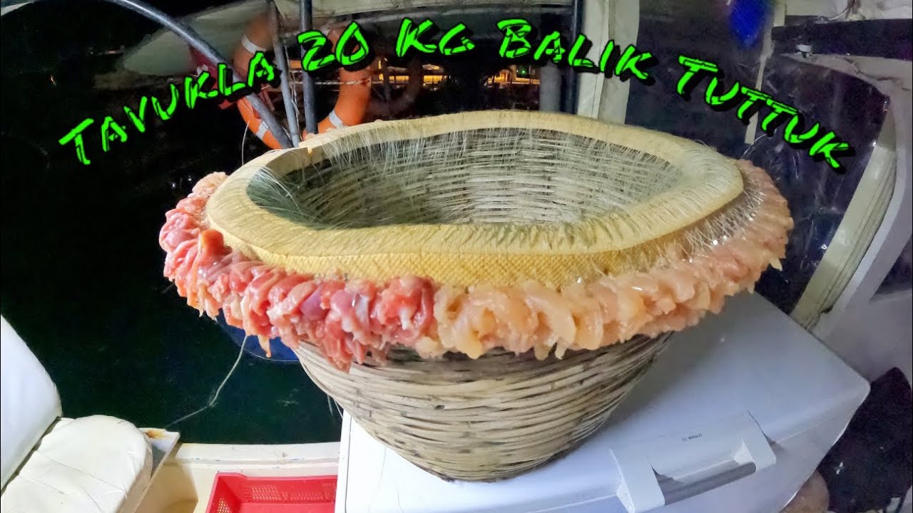 Tavuk göğsü ve Taşlığı ile 1000 iğne paragat attık #balıkçı #paragatavı #akyaka #balıkavı #paragat