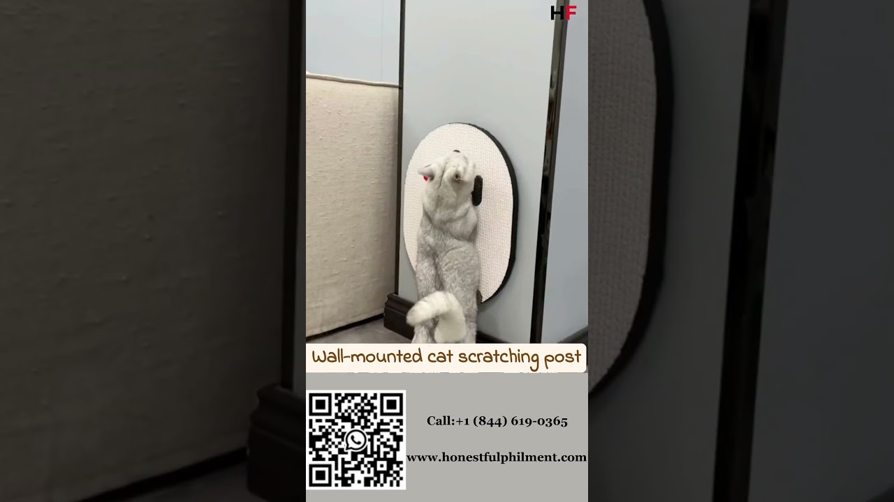 Transform Your Walls with Wall-Mounted Cat Scratching Boards! 🏠🐱 #HonestFulPhilment #Supplier