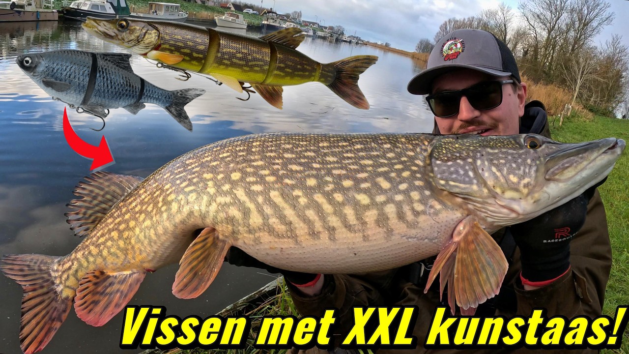 SNOEKVISSEN MET XXL KUNSTAAS VANAF DE KANT