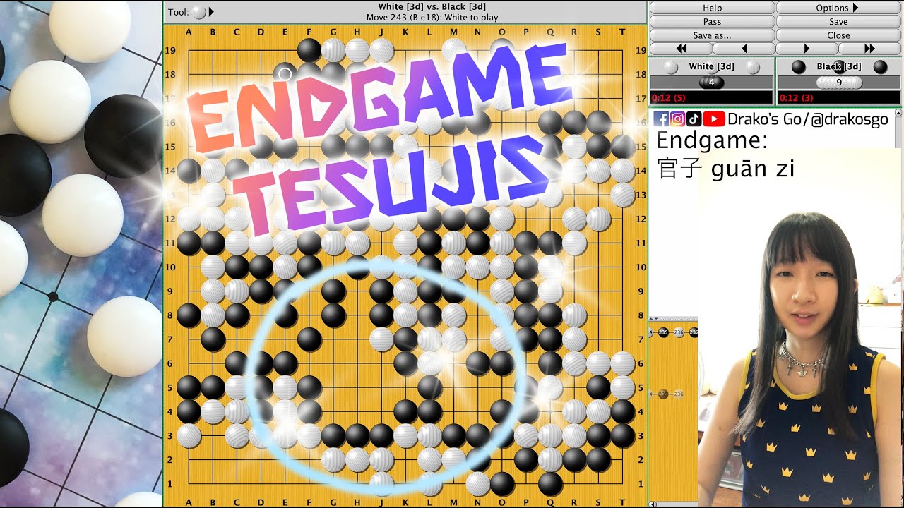Endgame Tesujis 官子手筋 [Baduk Go Weiqi 围棋 바둑]