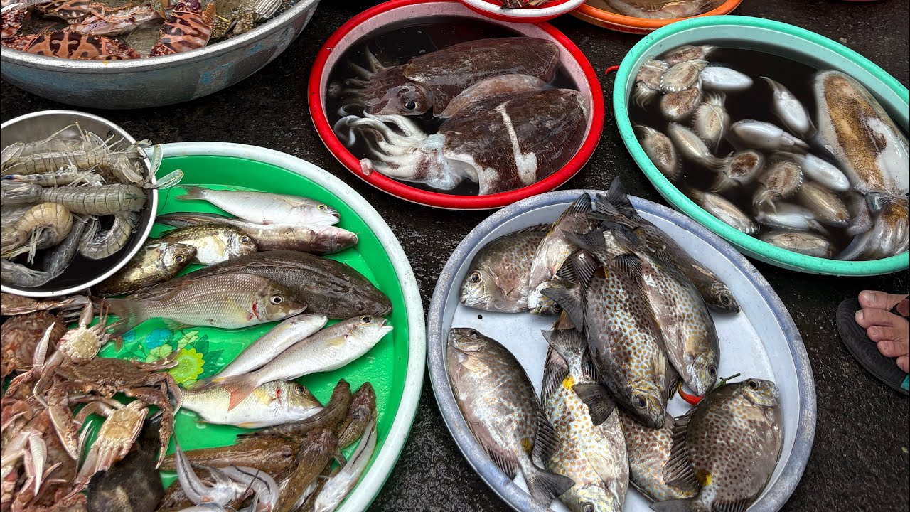 MÙNG 4 TẾT ĐI CHỢ QUÊ GĂP ĐƯỢC CÁ DÌA NÂU NGON TƯƠI XANH , NHIÊU HẢI SẢN BẠCH TUỘC, TÔM SÚ BIỂN