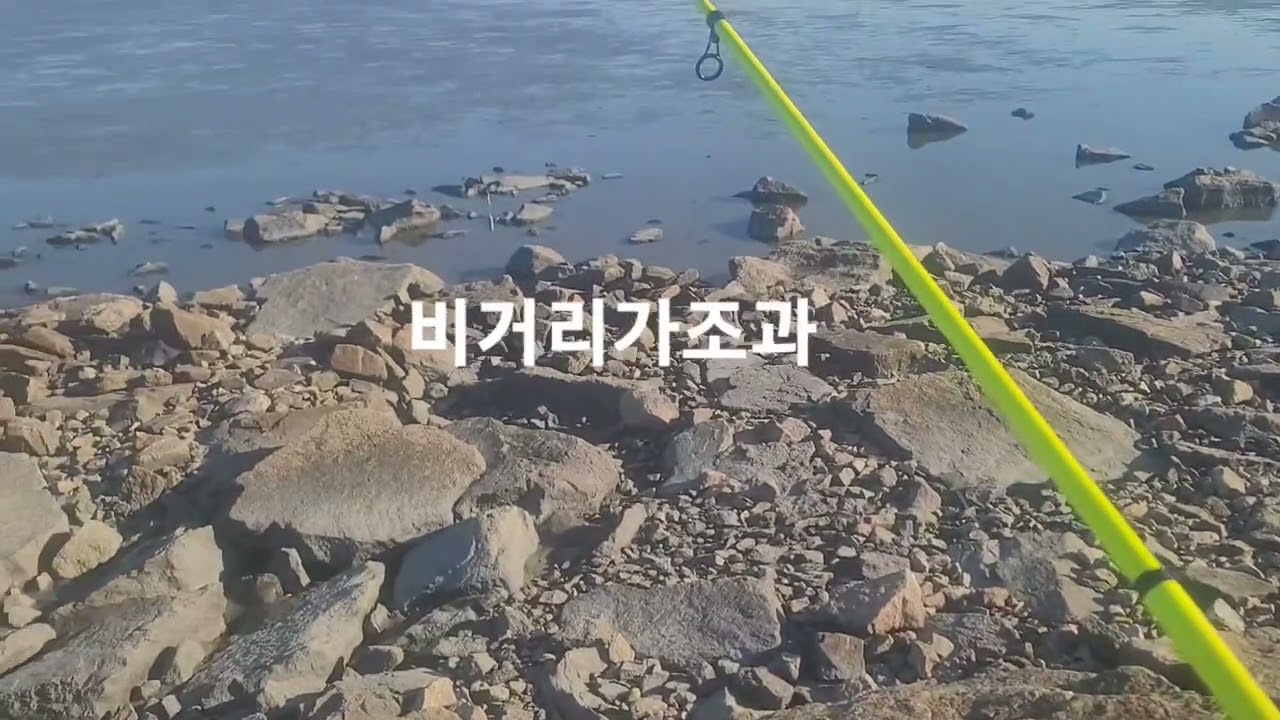 #영종도숭어훌치기시즌  #2~12물 #오후들물때   #장타캐스팅이 조과입니다   #초원투장비필수