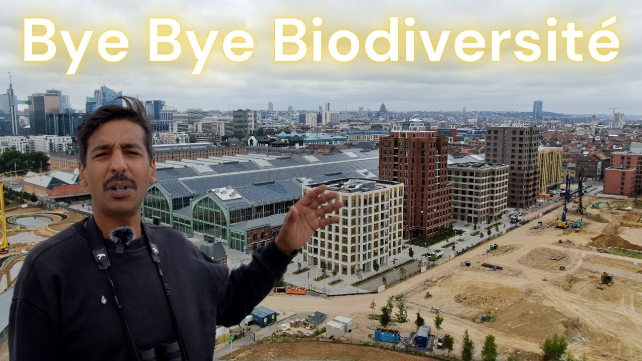 COMMENT RUINER la BIODIVERSITE en UN PROJET