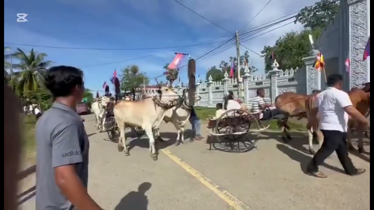 រទេះគោ៤០នឹម