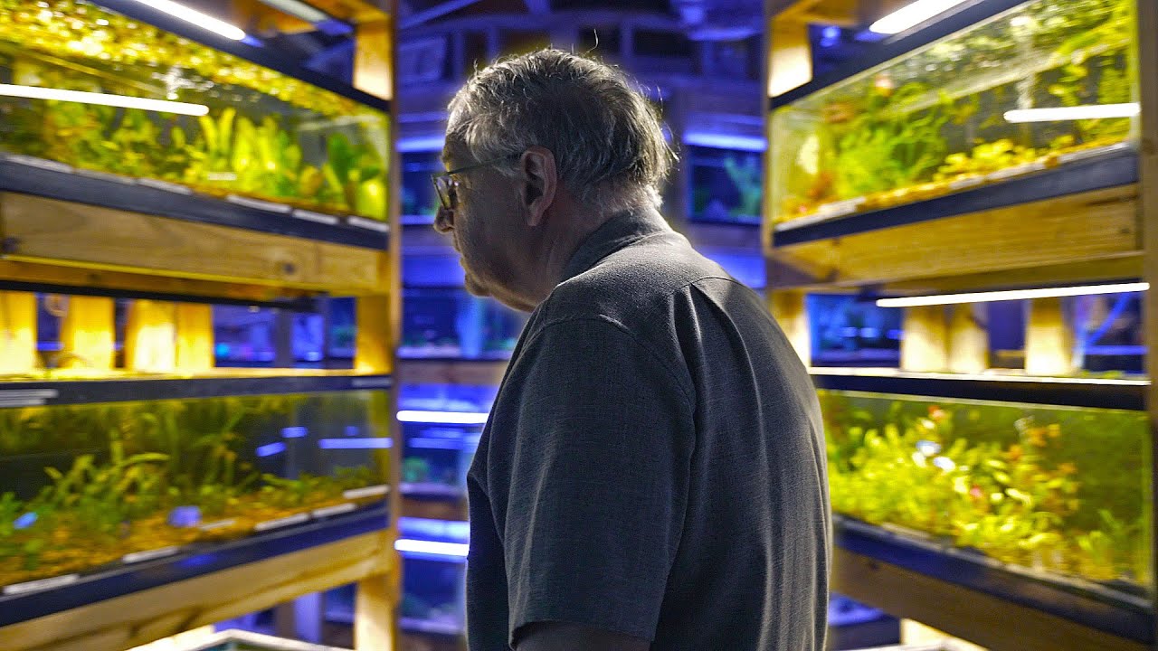 Welcome To THE AQUA-DOME! Fish Tank Haven
