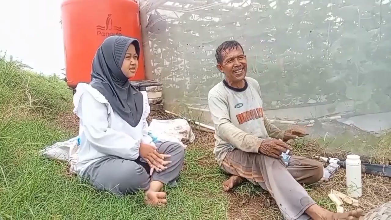 TUGAS PKWU OBSERVASI PERKEBUNAN MELON 