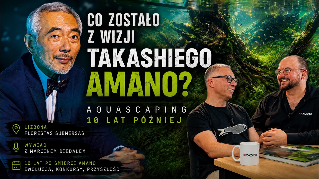Co zostało z wizji Takashiego Amano? Aquascaping 10 lat p&oacute;źniej