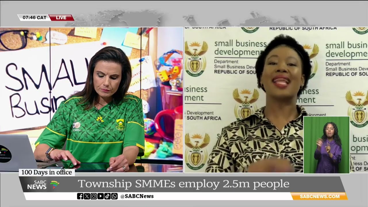 100 Days of GNU | Priorities for Dept of Small Business Development: Stella Ndabeni-Abrahams