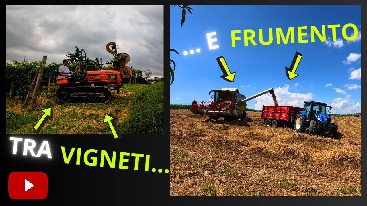 AVANTI TUTTA!! | Weekly Vlog