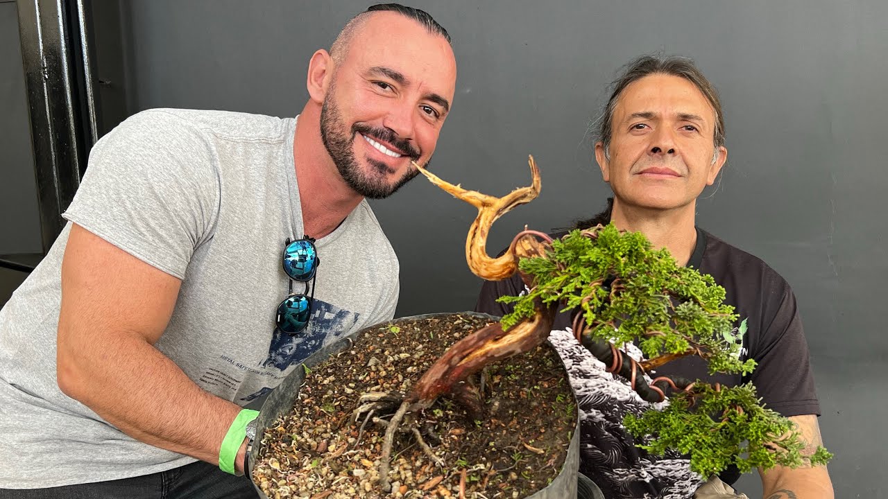 TRANSFORMAÇÃO DE UM JUNÍPERO ITOIGAWA COM JULIO VEG