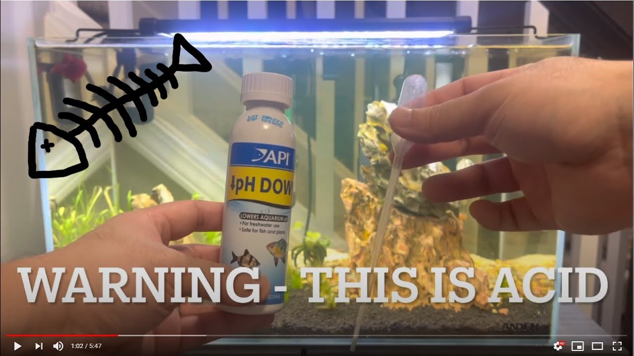 My Planted Tank Ep 03 - Lowering PH in Water