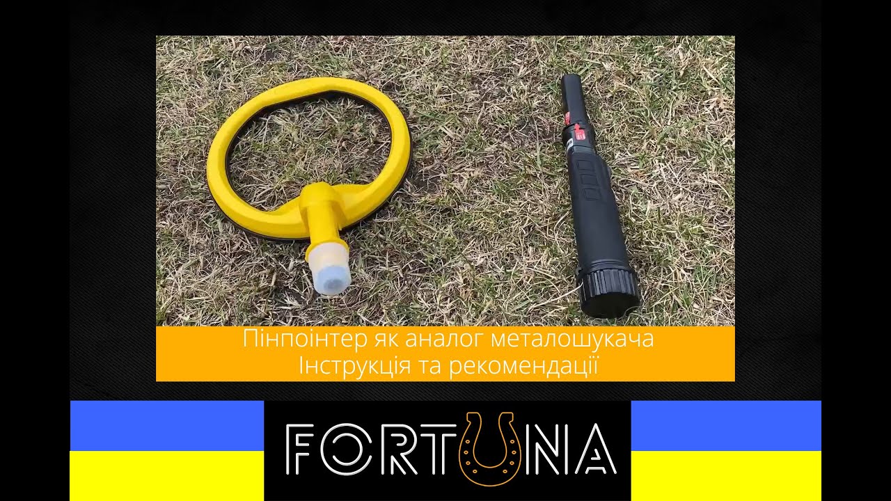Пінпоінтер як аналог міношукача - найбезпечніший для початківців. Інструкція та рекомендації саперам
