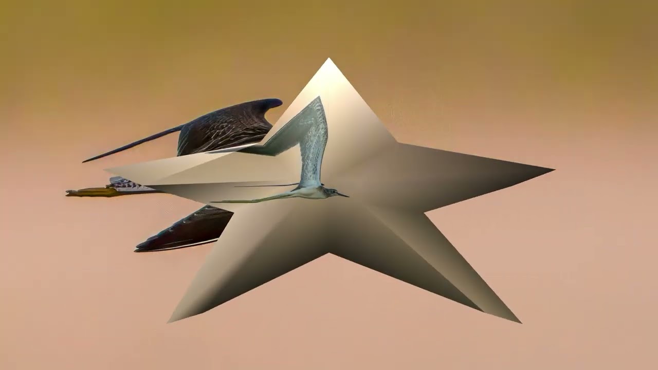Voitilasta 2025 07 24