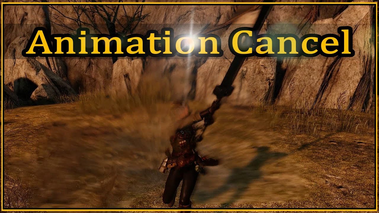 Dark Souls 2 PvP Tips: Animation Cancel