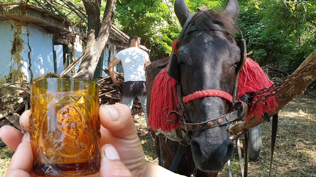Am găsit o cana foarte veche! Ziua 5 la căsuța din pădure.