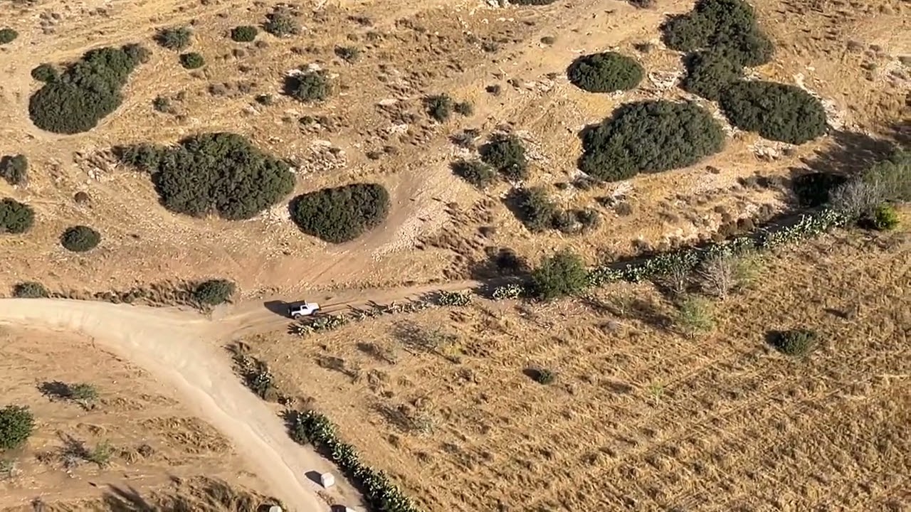 לכיש גבעות גד
