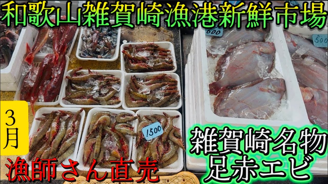 【和歌山雑賀崎漁港市場】日本一安い新鮮市場船から降ろしてその場で漁師さんが販売