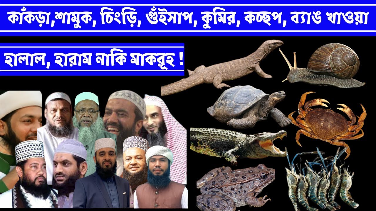 কাঁকড়া, শামুক, চিংড়ি, গুঁইসাপ, কুমির, কচ্ছপ, ব্যাঙ খাওয়া হালাল, হারাম নাকি মাকরূহ !
