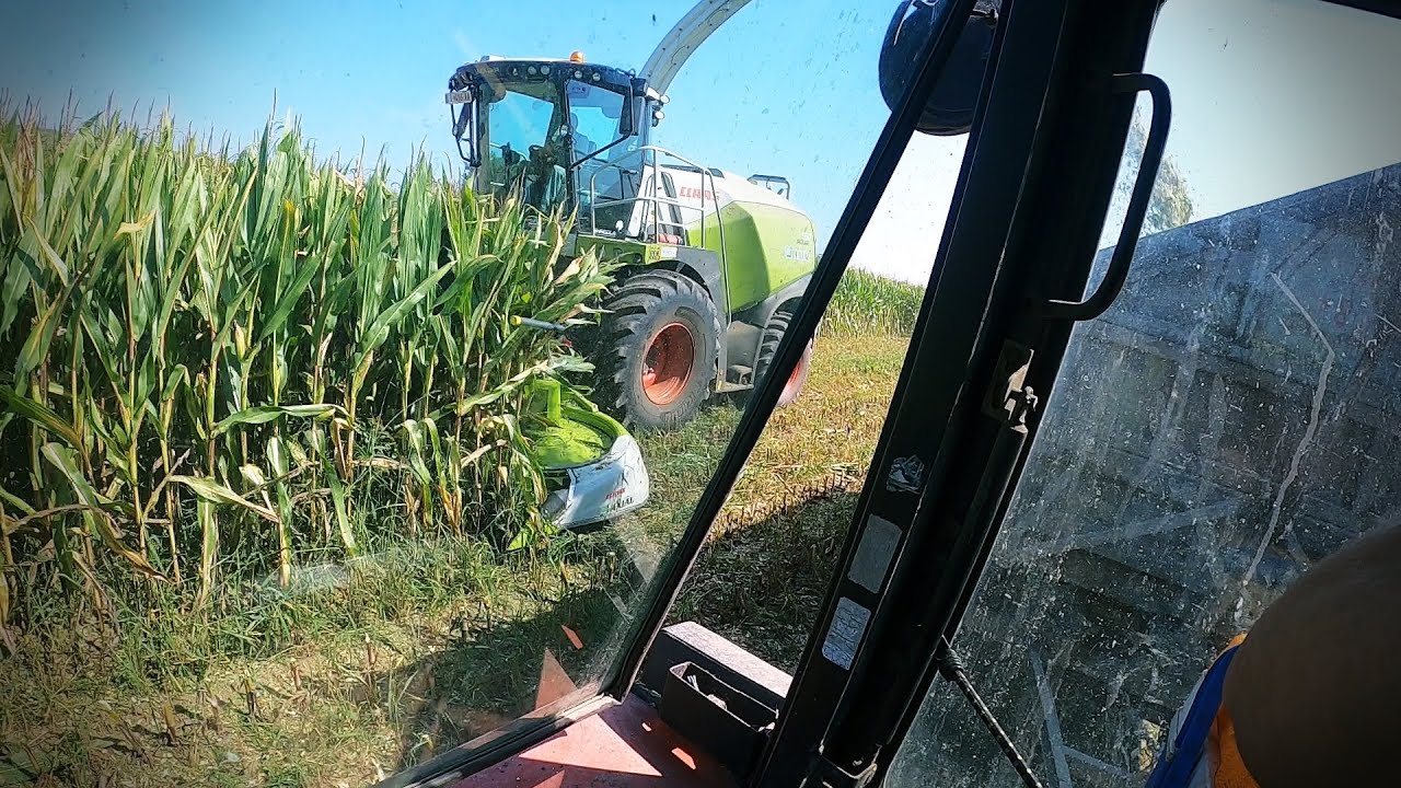 Claas Jaguár 950&ORBIS 600/MTz 82&HW 80.11  