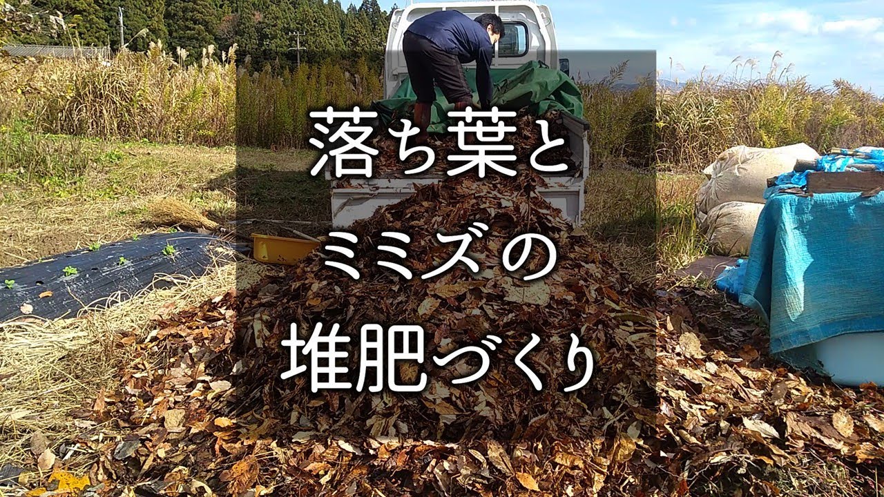 【自給自足】落ち葉とミミズの堆肥づくり