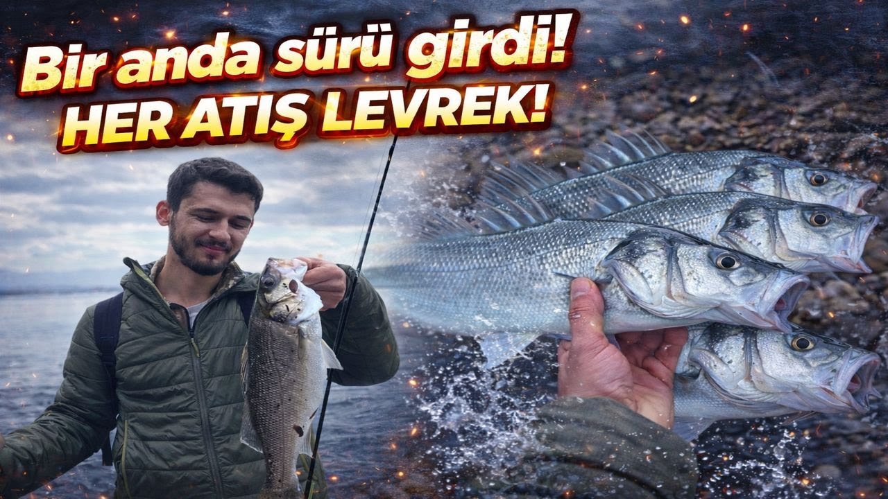 Bir Anda Sürü Girdi! Her Atış Levrek ( Su Üstü Levrek Avı )