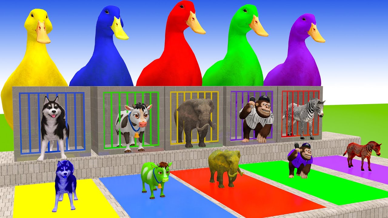 Long Slide Game With Cow Elephant Gorilla Hippopotamus Tiger 3d Animal Game Funny 3d Animals