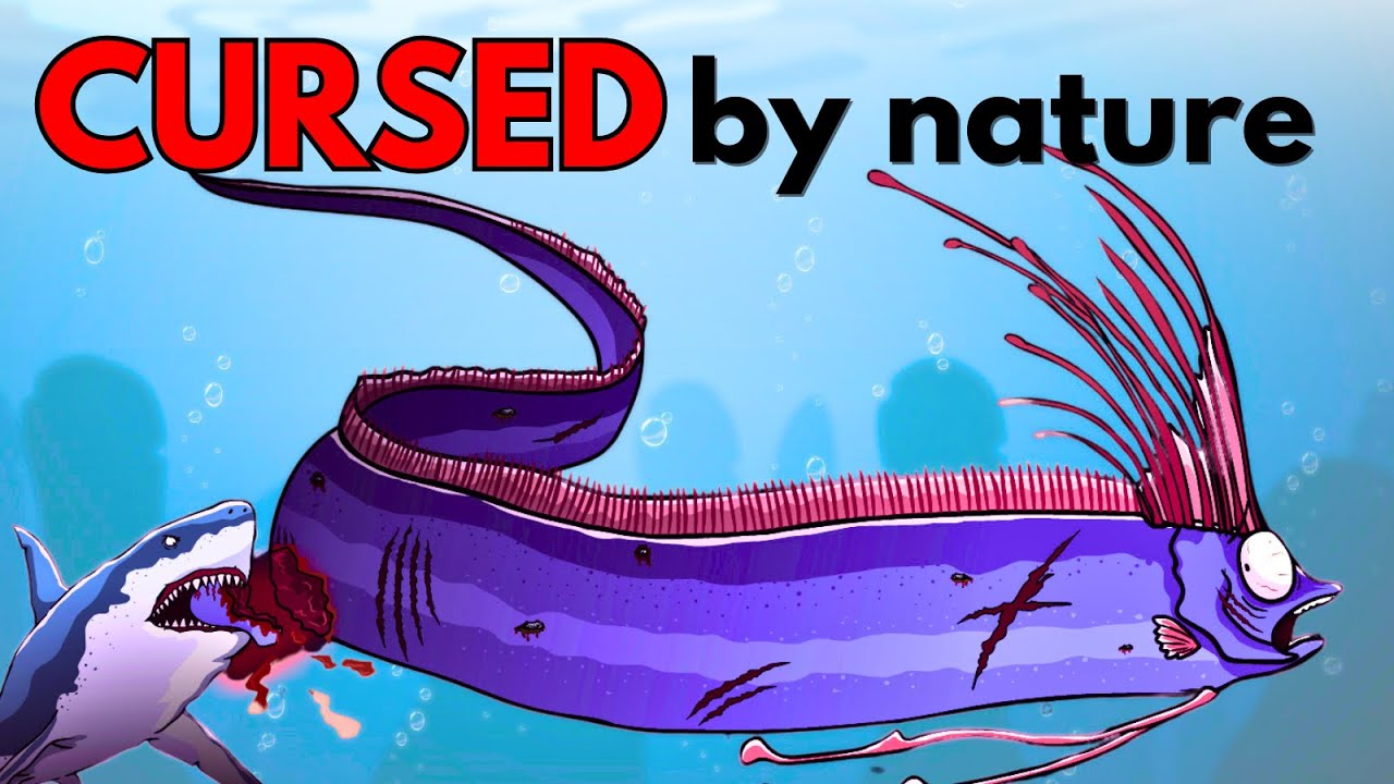 Why it sucks to be born as an Oarfish (doomsday fish)