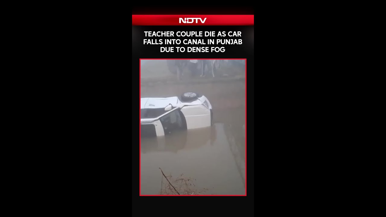 Punjab News | Teacher Couple Die As Car Falls Into Canal In Punjab Due To Dense Fog