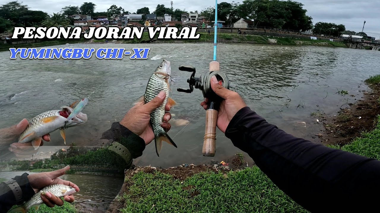 TESTFIELD JORAN VIRAL YUMINGBU CHIXI DAN LURE SAKTI DARI JAVALURES