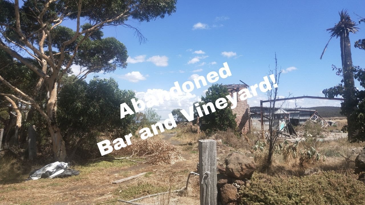 Abandoned Bar and Vineyard // A Dream Destroyed by Fire!