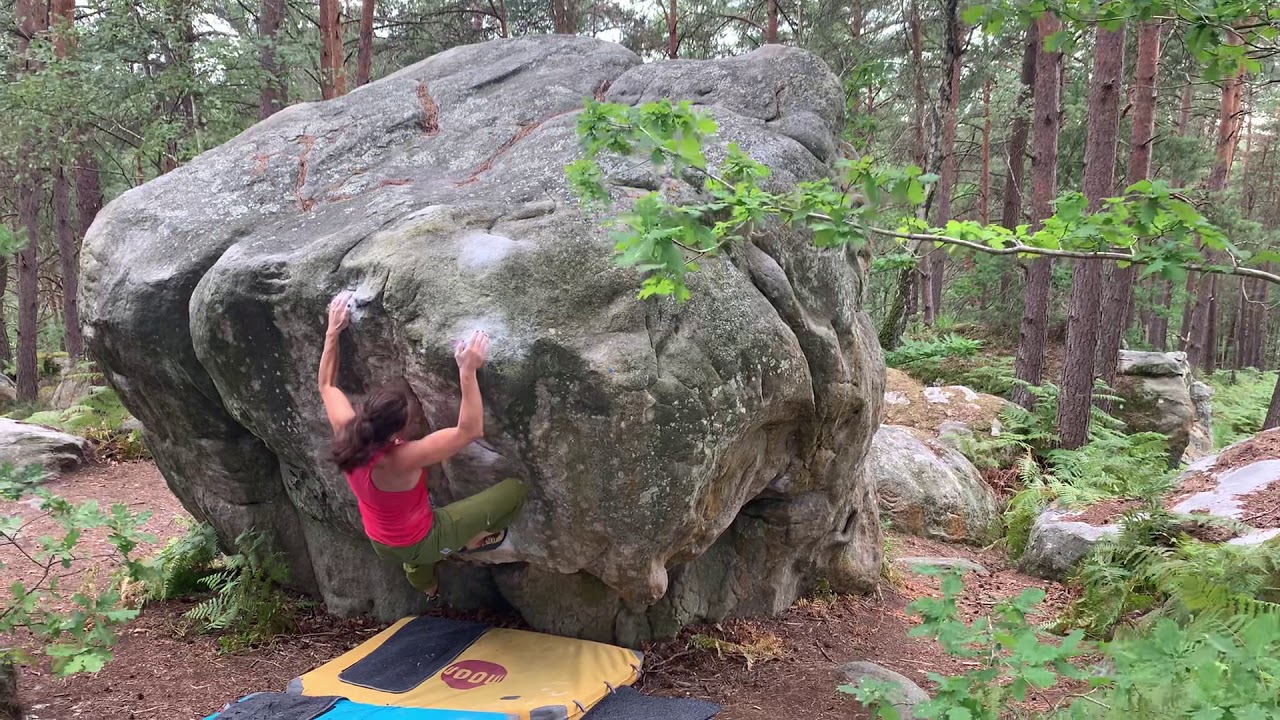 La Myosine (Fb 6a+/6b) - Drei Zinnen - Fontainebleau
