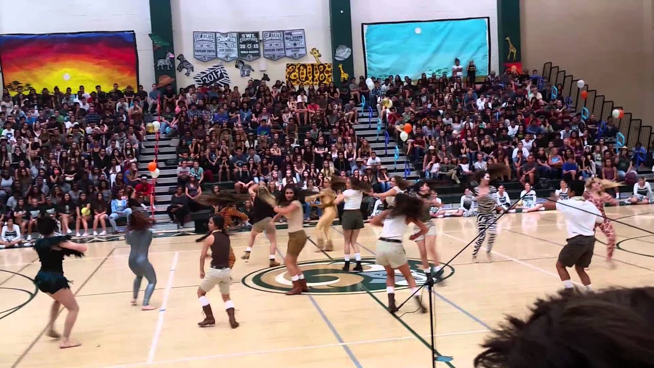 Murrieta Mesa Dance Team Homecoming Safari 2015