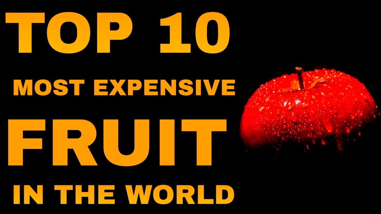 Top 10 Most Expensive Fruit in the world | Most Expensive Fruit 2022