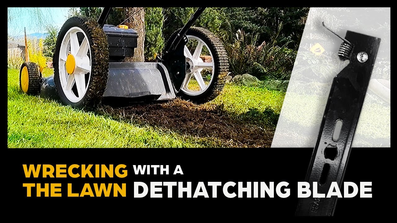 Dethatching Blade Disaster | Lawn Care DIY Fail