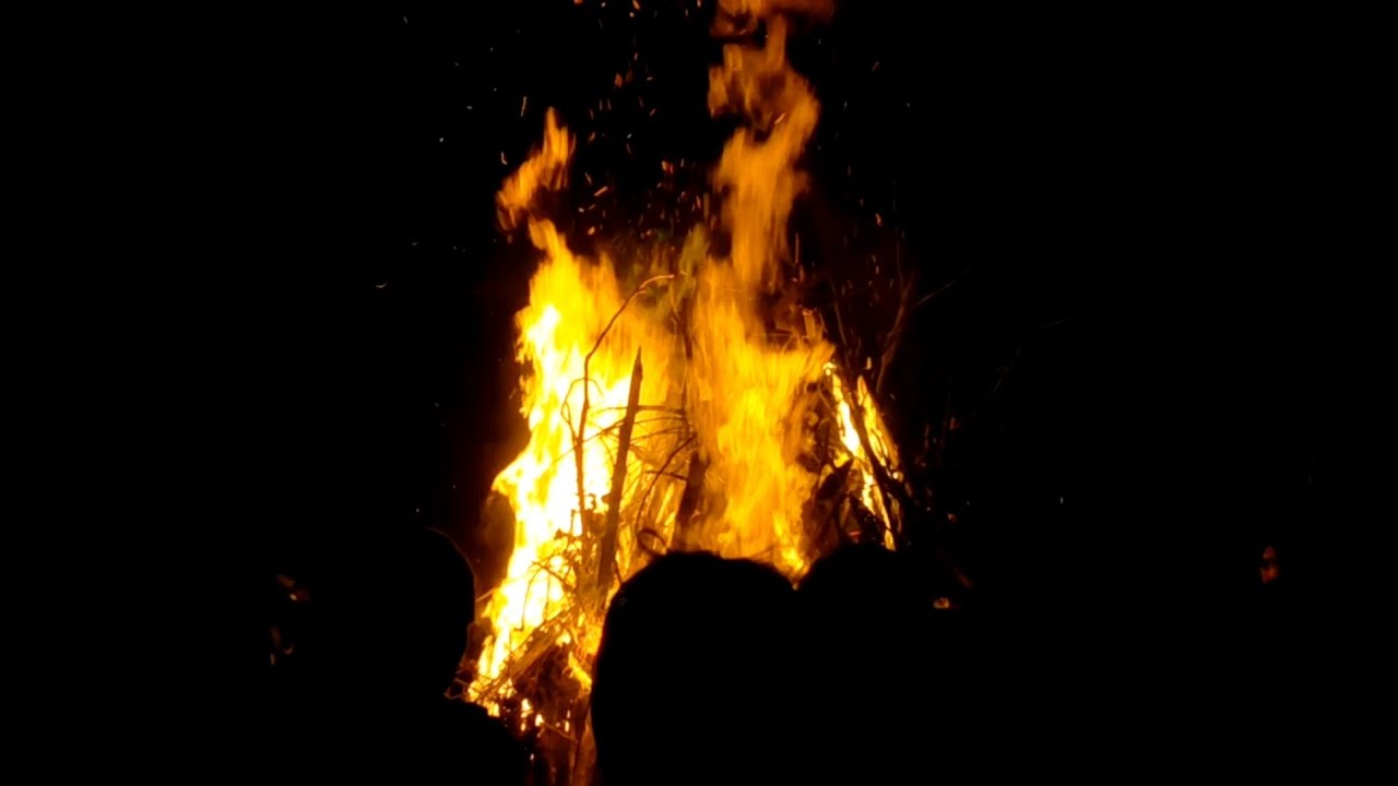Happy Holika Dahan✨️🌸
