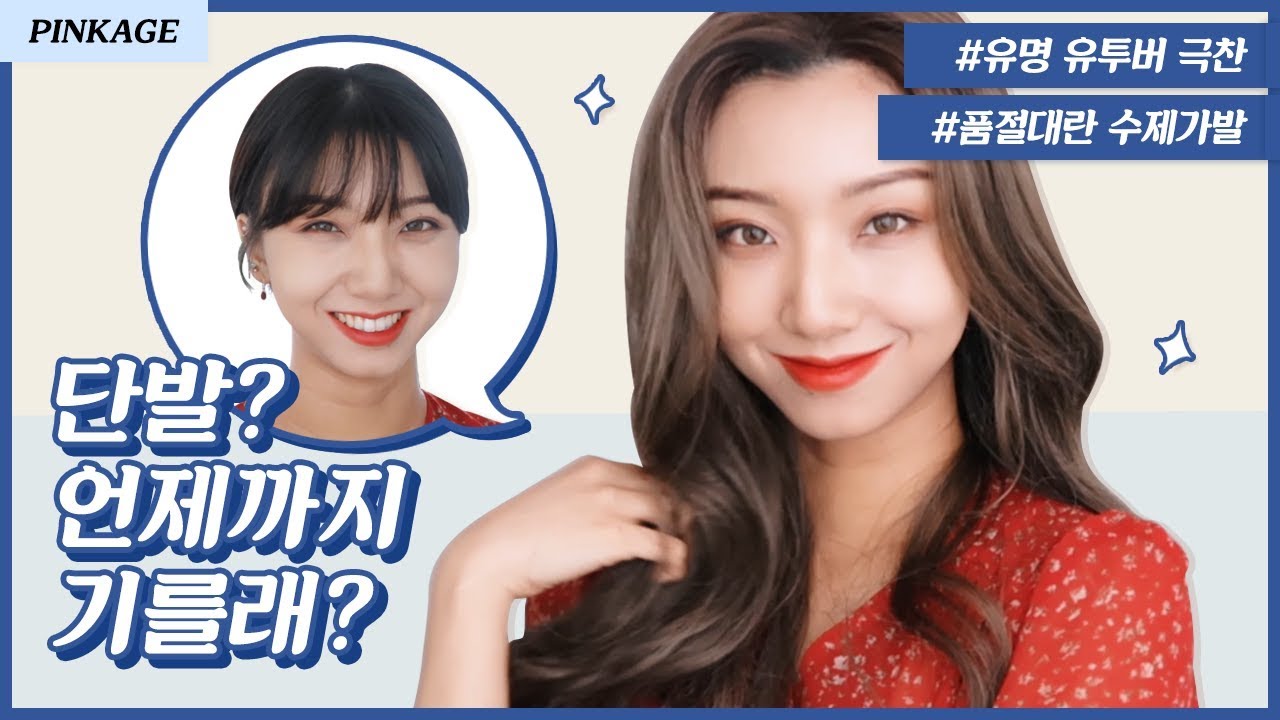 단발? 언제까지 기를래? 유명 유튜버 대란 일어난 수제가발이 답이다! | 핑크에이지(pinkage)