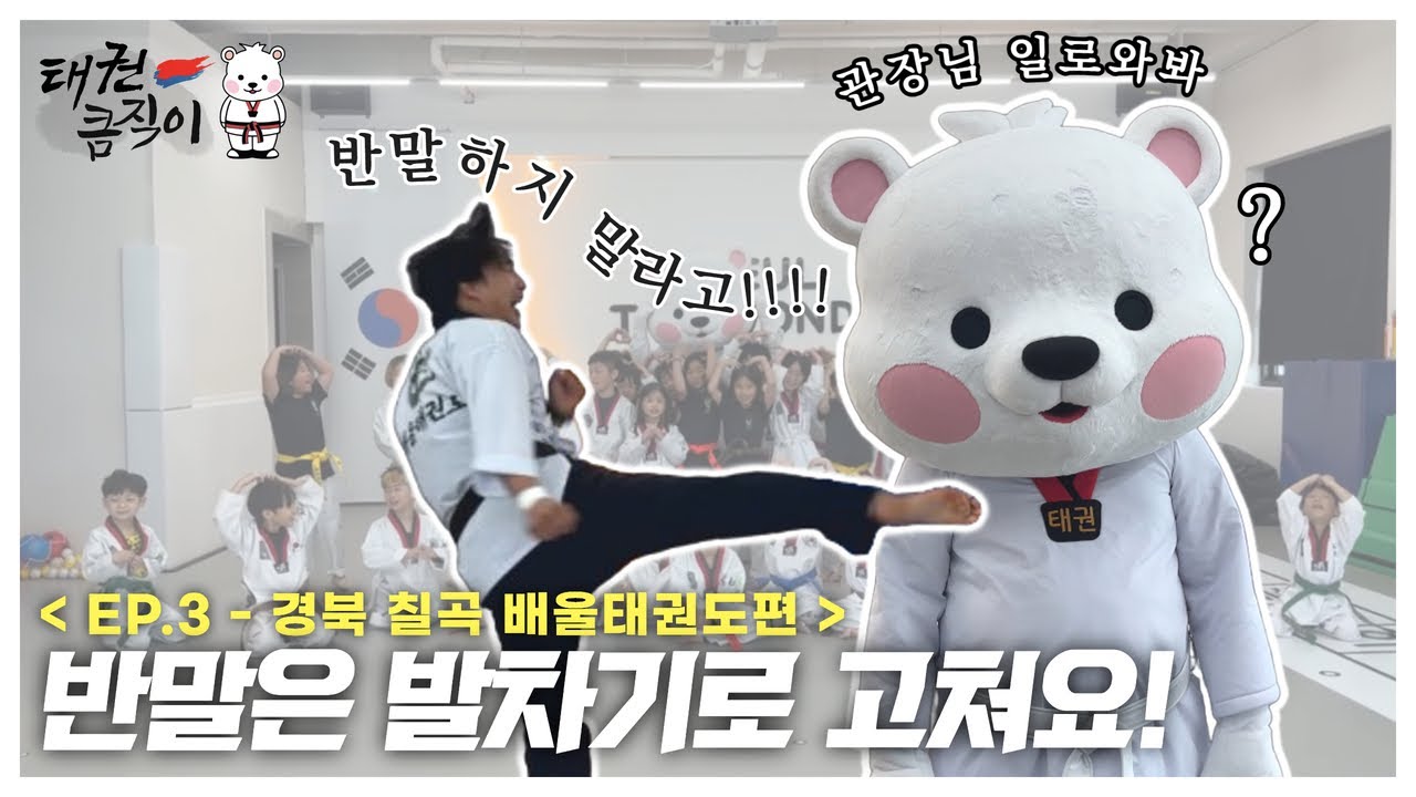 반말은 발차기로 고쳐요!🐻‍❄ [EP.3 경북 칠곡 배울태권도편] taekwondo president keumjeegi