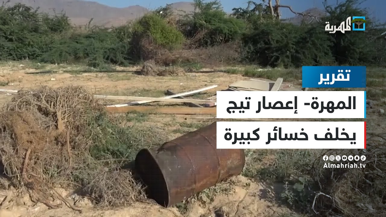 إعصار تيج.. خسائر كبيرة بمزارع مديرية حصوين تؤثر على دخل المزارعين