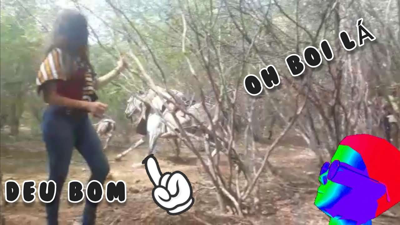 Cavalos boieiros Vaqueiros Bom de Verdade - Pega de Boi No Mato, Forró