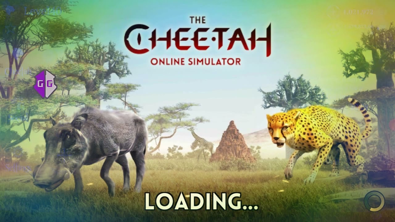 The Cheetah Damage infinity NaN Health