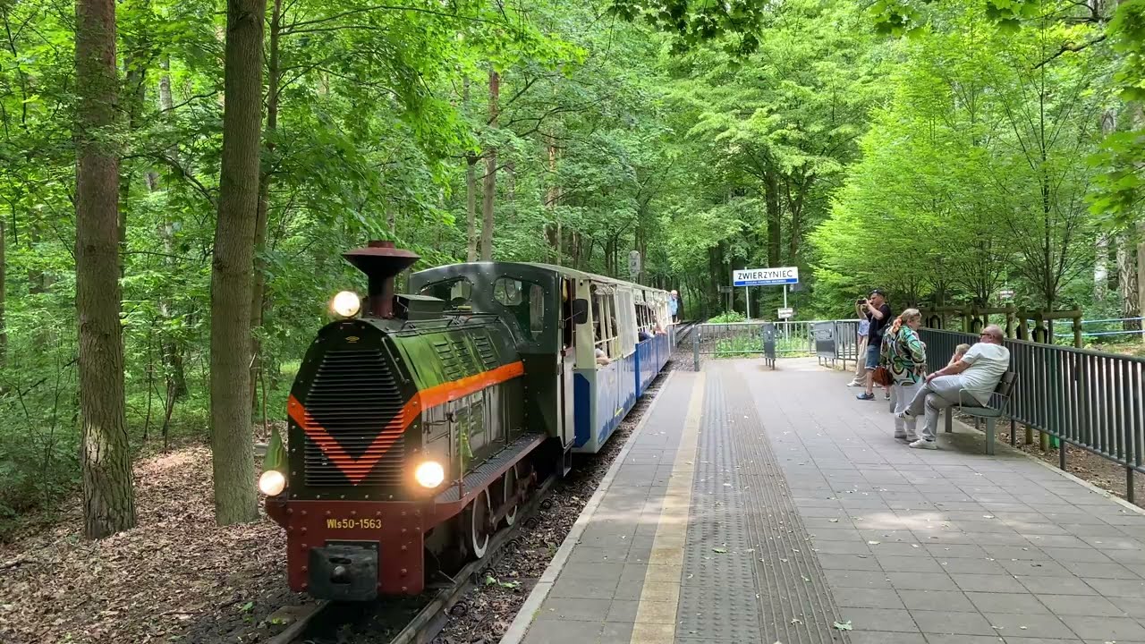Parkowa Kolej Wąskotorowa Maltanka 2025 r. w Poznaniu, narrow gauge railroad in park of Poznań ,[4K]